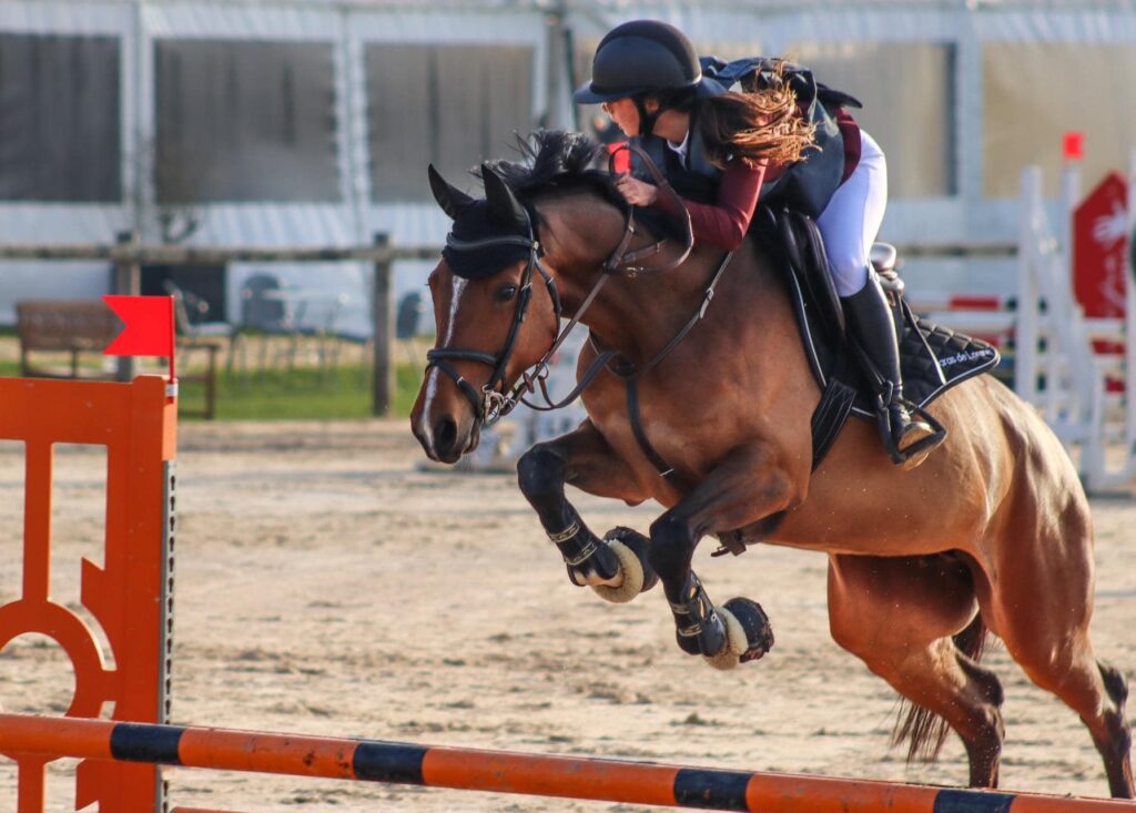 Cheval bai avec sa cavalière qui saute un d'obstacle rouge dans une carrière en sable. On voit le cheval de face.